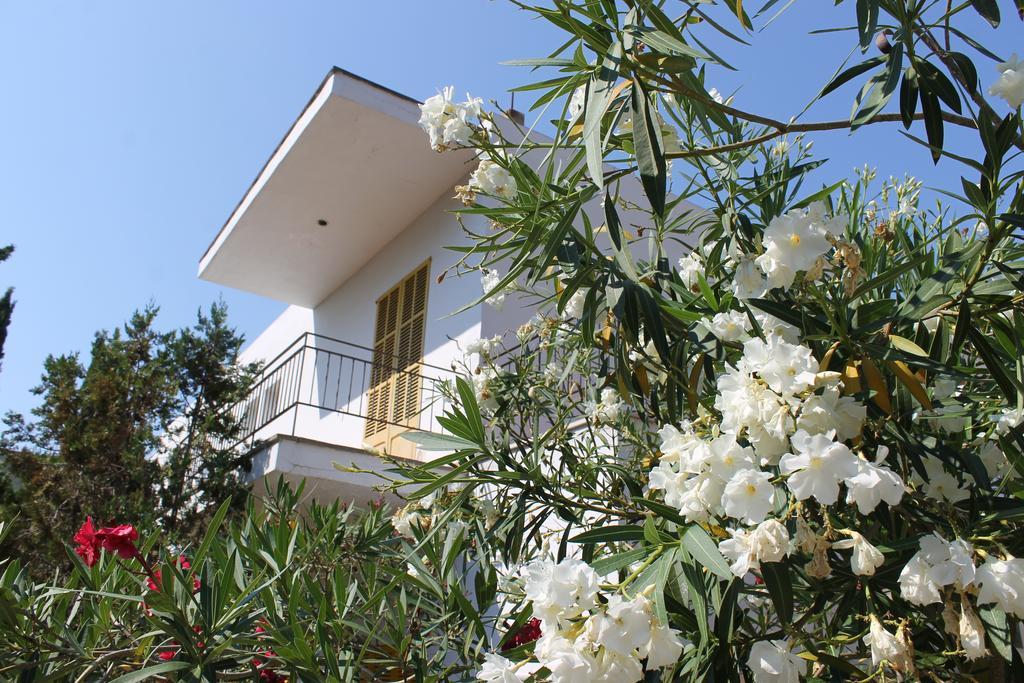 Hostal Catalina Vera 푸에르토 데 안드라츠 외부 사진