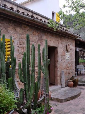 Hostal Catalina Vera 푸에르토 데 안드라츠 외부 사진